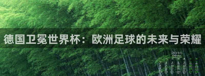 世界杯时间:德国卫冕世界杯:欧洲足球的未来与荣耀