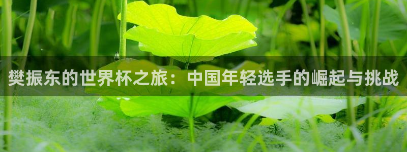 2026年足球世界杯赛程时间表:樊振东的世界杯之旅:中国年轻选手的崛起与挑战