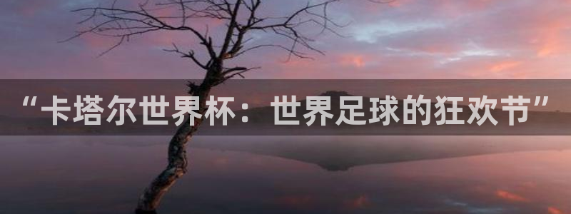 世界杯足球:“卡塔尔世界杯:世界足球的狂欢节”