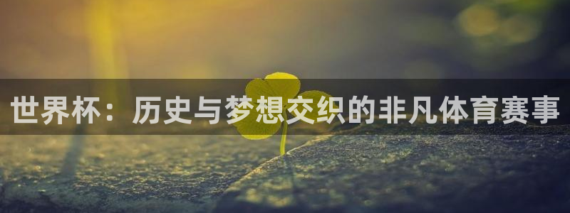 世界杯预选赛亚洲区赛程:世界杯:历史与梦想交织的非凡体育赛事