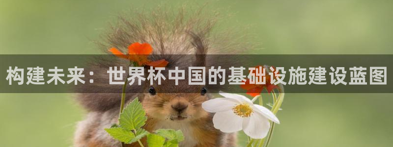 世界杯直播观看:构建未来:世界杯中国的基础设施建设蓝图