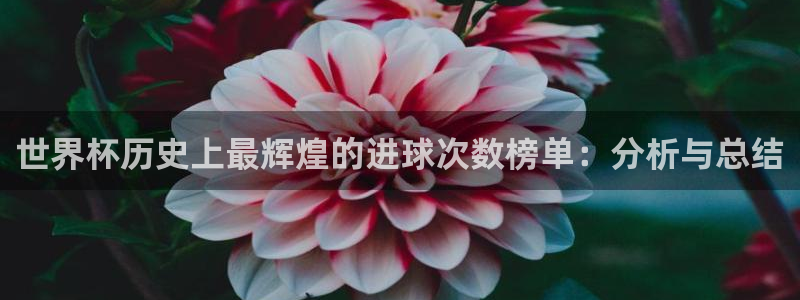 2026世界杯直播免费观看:世界杯历史上最辉煌的进球次数榜单:分析与总结