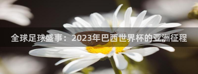 2026世界杯赛程时间表最新:全球足球盛事:2023年巴西世界杯的亚洲征程