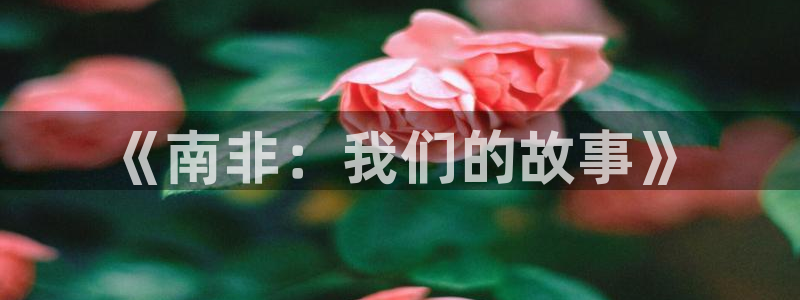 世界杯直播网站:《南非:我们的故事》