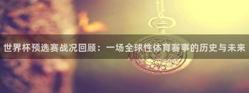 2026世界杯赛:世界杯预选赛战况回顾:一场全球性体育赛事的历史与未来