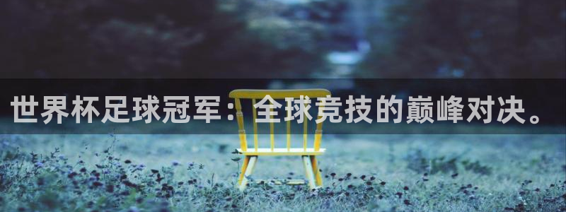 2026世界杯亚洲预选赛:世界杯足球冠军:全球竞技的巅峰对决。