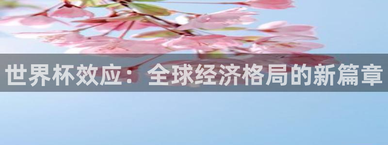 预选赛世界杯:世界杯效应:全球经济格局的新篇章