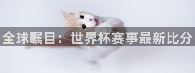 世界杯预选赛排名:全球瞩目:世界杯赛事最新比分