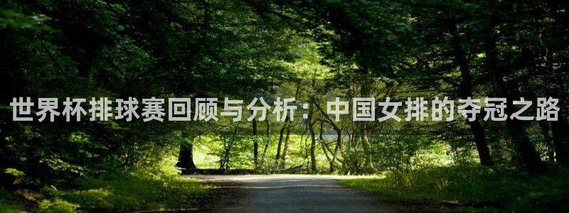 世界杯亚洲区预选赛积分榜:世界杯排球赛回顾与分析:中国女排的夺冠之路
